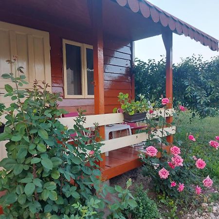 Pensiunea Raluca Mahmudia Esterno foto