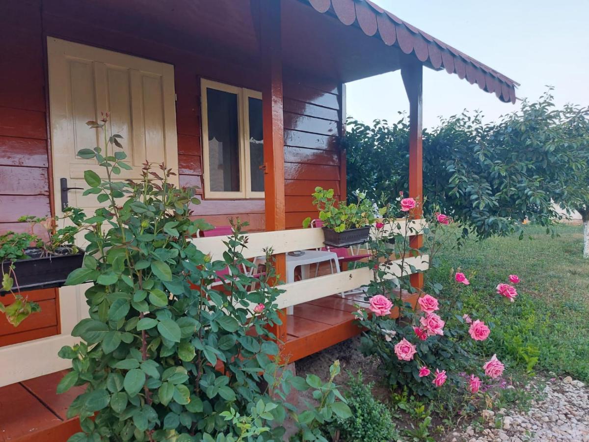 Pensiunea Raluca Mahmudia Esterno foto
