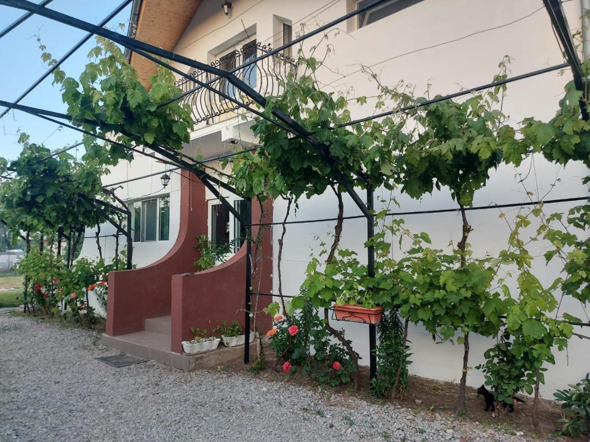 Pensiunea Raluca Mahmudia Esterno foto